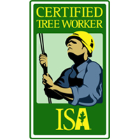 Tree Removal Service, Tree Service, Yuba City