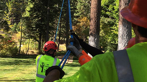 Professional Land Clearing, Brush Clearing, Fire Breaks