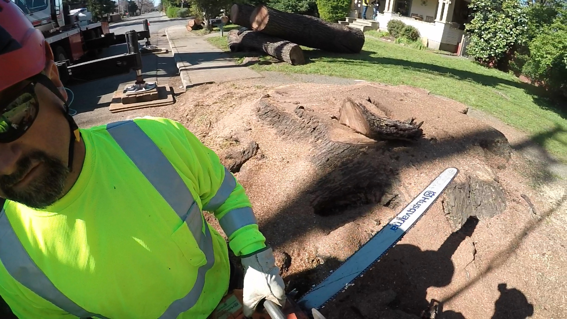 Why Choose A Certified Arborist? A&E Arborists Tree Care