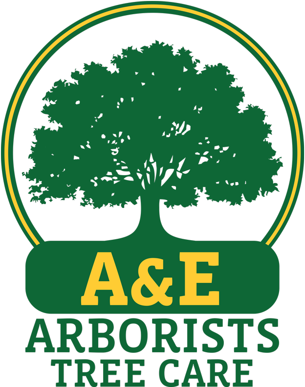 A&E Arborists Tree Care